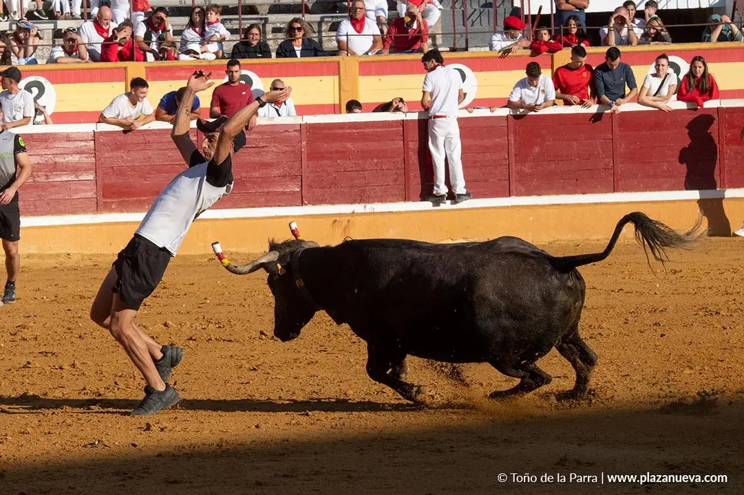 Fiestas de Tudela 2026 Suelta de vaquillas d&iacute;a 28 38