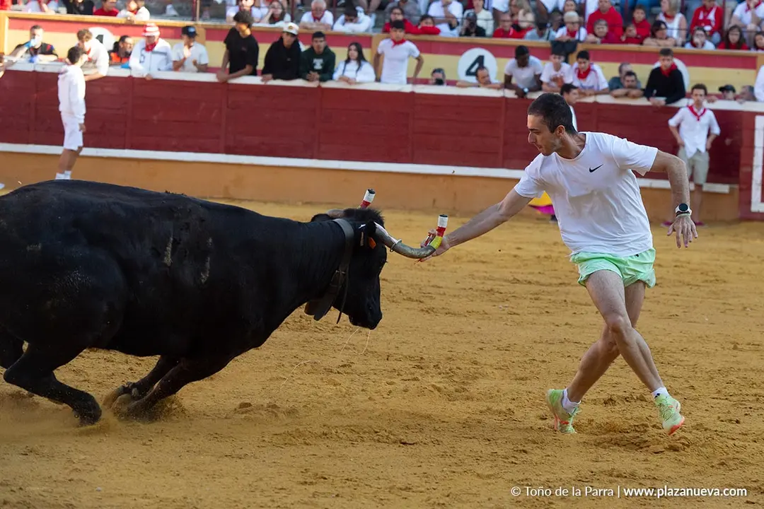 Fiestas de Tudela 2026 Suelta de vaquillas d&iacute;a 28 43