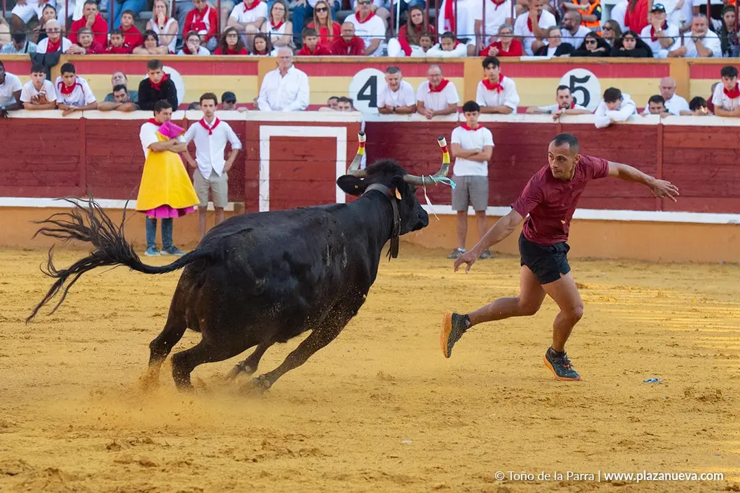Fiestas de Tudela 2026 Suelta de vaquillas d&iacute;a 28 45