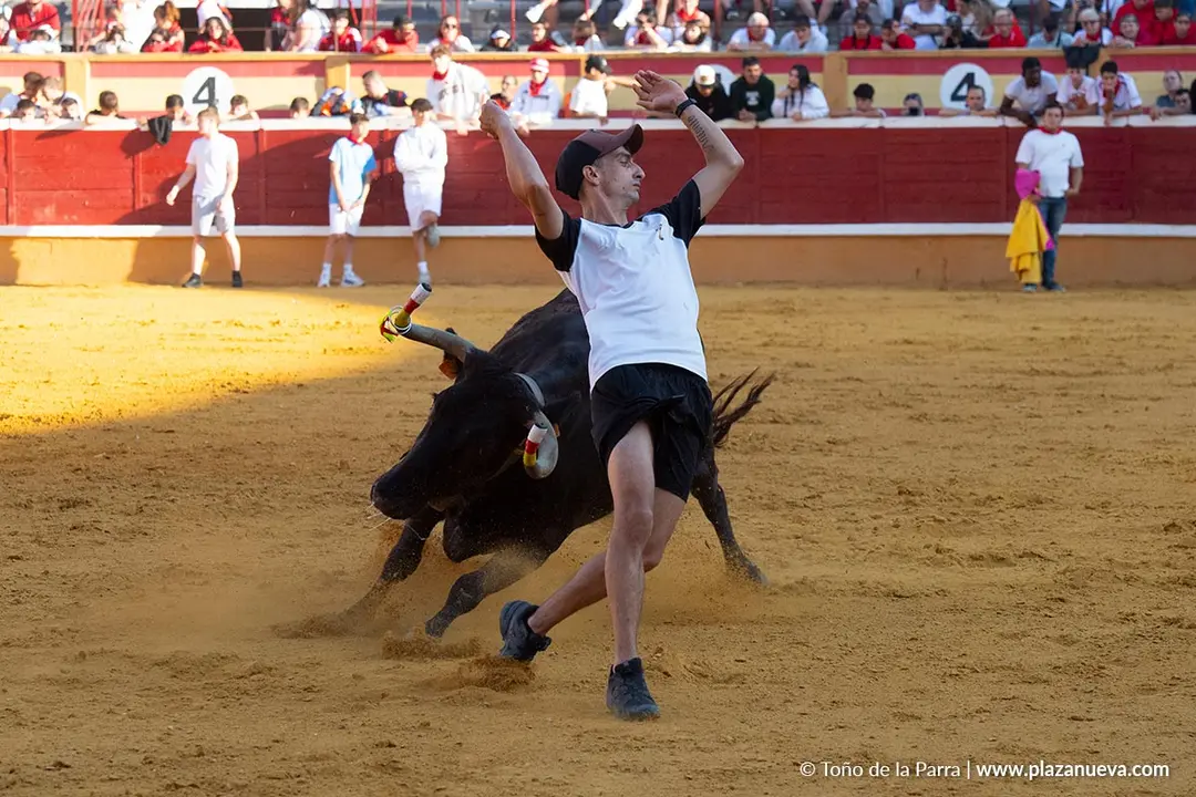 Fiestas de Tudela 2026 Suelta de vaquillas d&iacute;a 28 52
