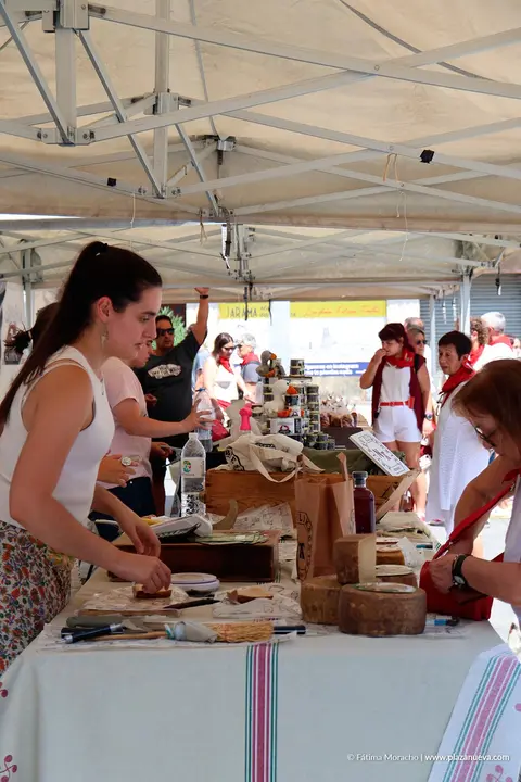 Fiestas de Tudela 2026 Feria de artesan&iacute;a 3