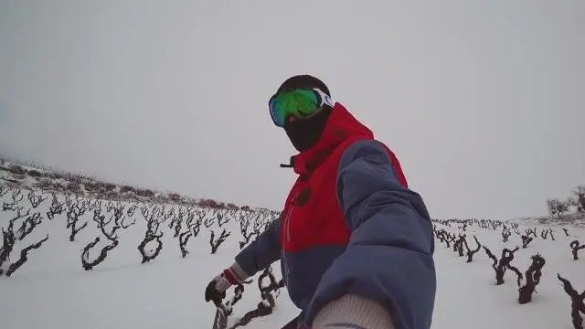 Un joven haciendo snow entre los vi&ntilde;edos riojanos