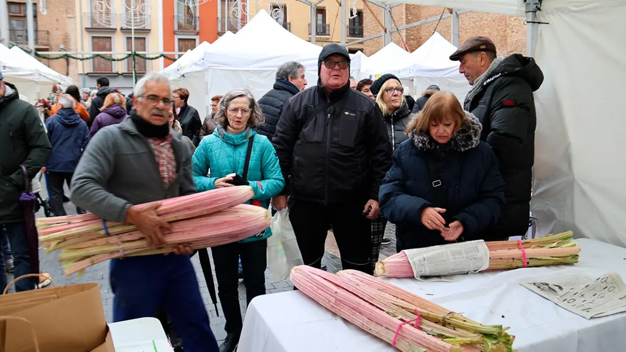 XVII Jornadas del Cardo Rojo de Corella 2025 37