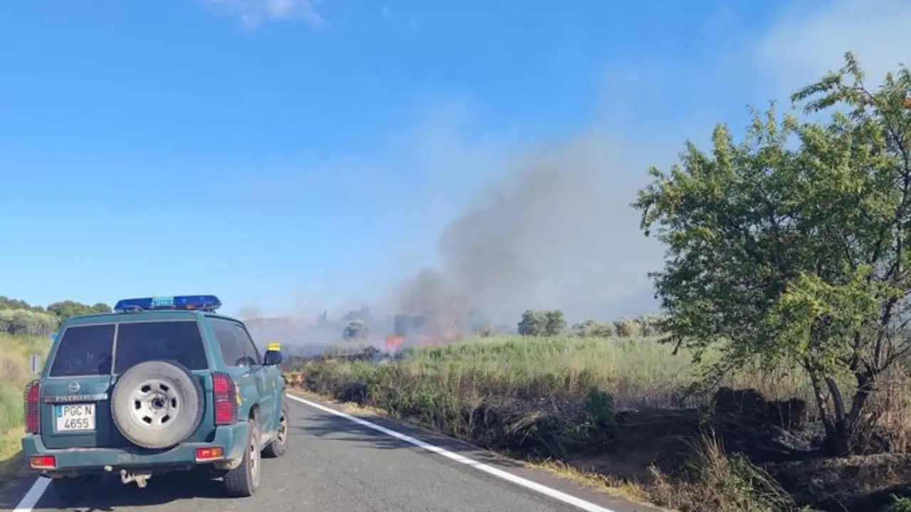 Un incendio afecta a una finca de olivos en Corella.