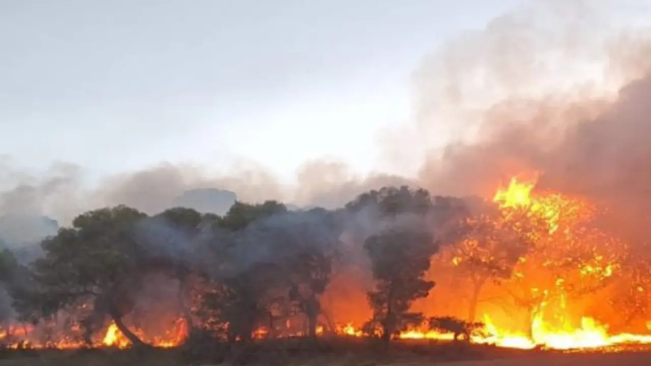 Incendio de arbolado en el embalse El Ferial, en las Bardenas.