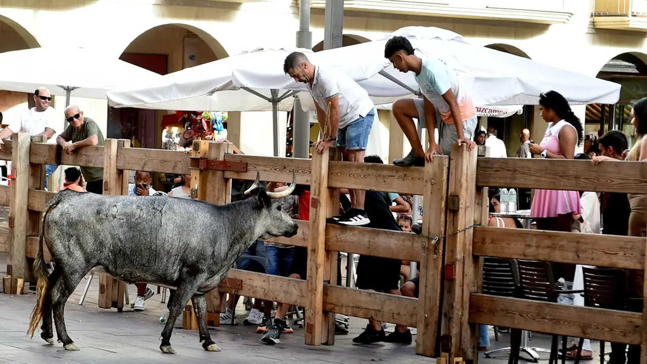 Fiestas de la Juventud en Peralta 2026 31