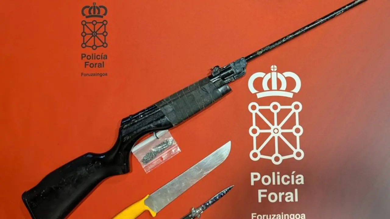 Armas intervenidas.