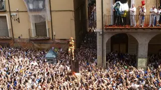 Cipotegato de Tarazona