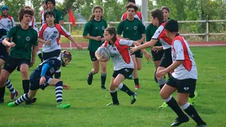 IMG_6605