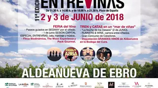 XI Entrevi&ntilde;as en Aldeanueva de Ebro