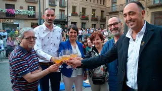 X Jornadas de la Vendimia en Corella - 13