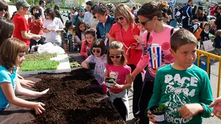 D&iacute;a del &aacute;rbol en Tudela