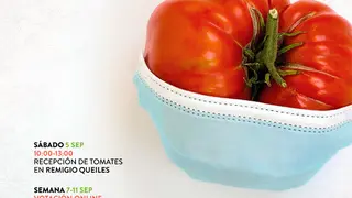 XIII Concurso de tomate Feo de Tudela