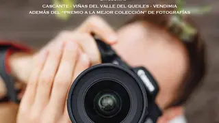 VII Concurso de fotograf&iacute;a &lsquo;Fotovino&rsquo; de Mal&oacute;n de Echaide