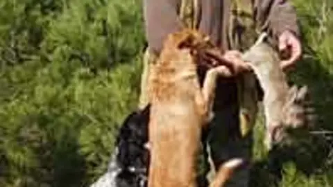 1135158631.jpg