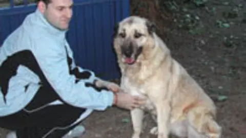 1137575177.jpg