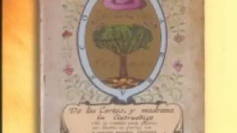 1188377287.jpg