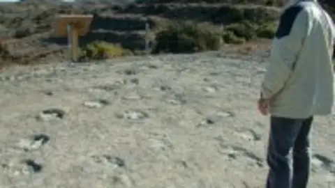 1199865800.jpg