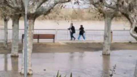 1229533214.jpg