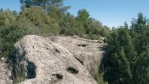 1247644613.jpg