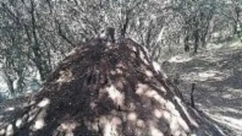 1320220835.jpg