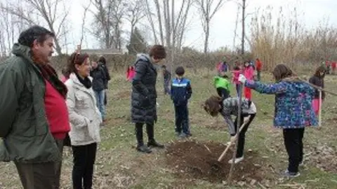 11-Plantación-árboles-Soto-de-los-Colegios-1066-300x200.jpg