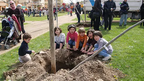 9-Fiesta-de-&aacute;rbol-Tudela-archivo-1068.jpg
