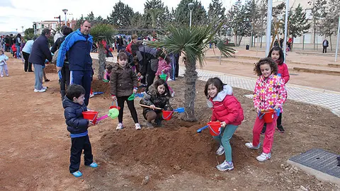 9-D&iacute;a-del-&aacute;rbol-Cintru&eacute;nigo-1069.jpg