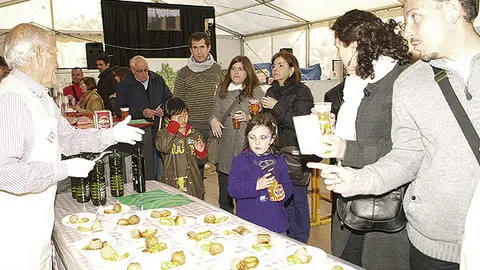 14-Degustaci&oacute;n-de-tostadas-y-aceite-de-Sandua-archivo-1073.jpg