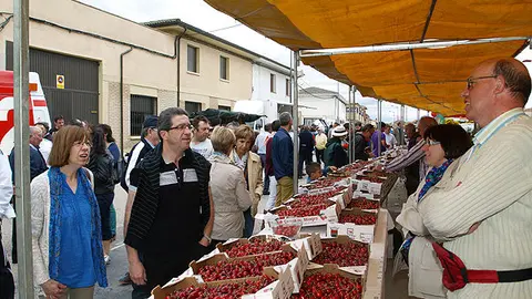 11-Fiesta-de-la-Cereza-Milagro-archivo-1079.jpg
