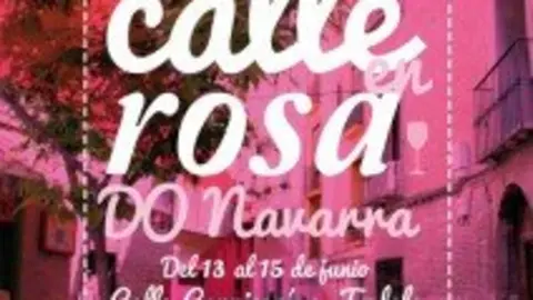 cartel-La-Calle-en-Rosa-WEB-212x300.jpg