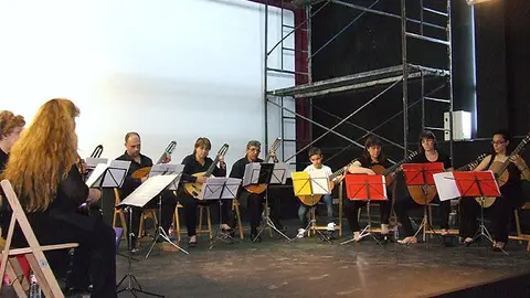 8-Audici&oacute;n-de-instrumentos-de-p&uacute;a-y-cuerda-1081.jpg