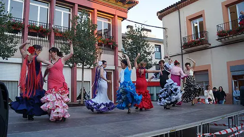 22-Exhibici&oacute;n-de-bailes-de-sevillanas-1082.jpg