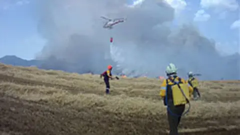Extinci&oacute;n-de-un-incendio-de-vegetaci&oacute;n-anterior.jpg