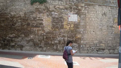 5-Lienzo-de-la-muralla-1093.jpg