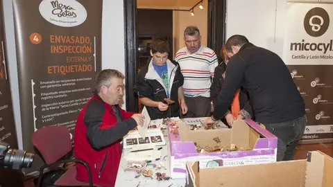 25-&Aacute;greda-Jornadas-Micol&oacute;gicas-grupo-1102.jpg