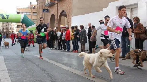 12-Canicross-de-Alfaro-1104.jpg