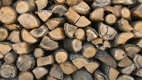 15-Madera-biomasa-1108.jpeg