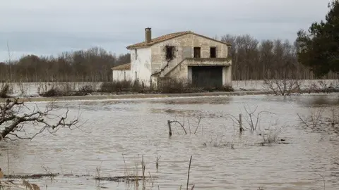 11-Nueva-crecida-del-Ebro-en-Alfaro-1114.jpg