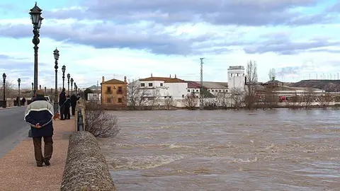puenteweb.jpg
