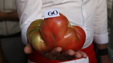 39-Tomate-feo-archivo-1120.jpg