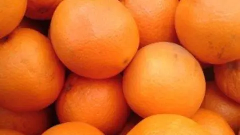 39-Naranjas-de-postre-1120-300x225.jpg