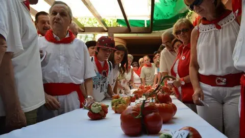 31-Tomate-Feo-2-1132.jpg