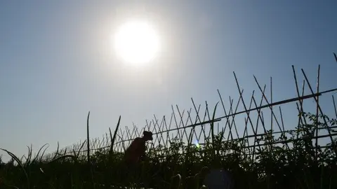 Espa&ntilde;a recibir&aacute; 34.000 millones para 2021-2027