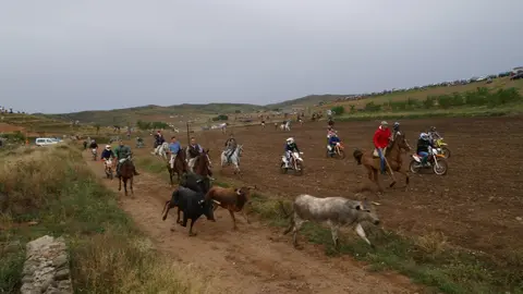 15-Bajada-de-las-vacas-2-1136-1024x768.jpg