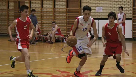 basket.jpg