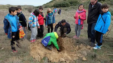 38-Tarazona-Jornada-de-reforestaci&oacute;n-1160.jpg
