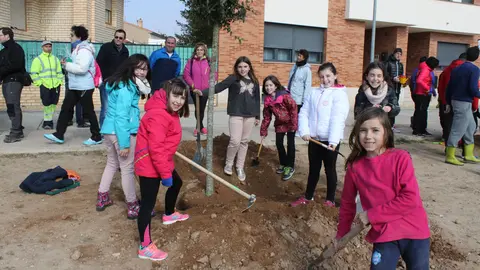 38-Cintru&eacute;nigo-D&iacute;a-del-&Aacute;rbol-1160.jpg