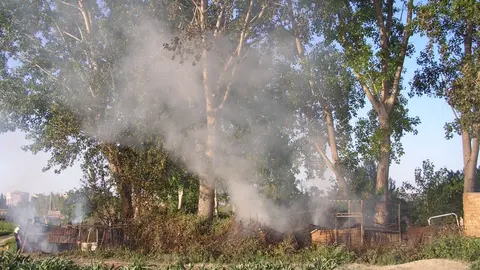 32-Incendio-en-un-huerto-1167-1024x768.jpg
