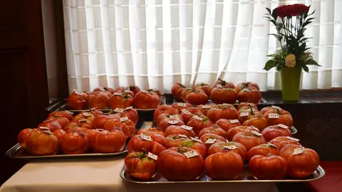 28-Tomates-feos-archivo-1168.jpg